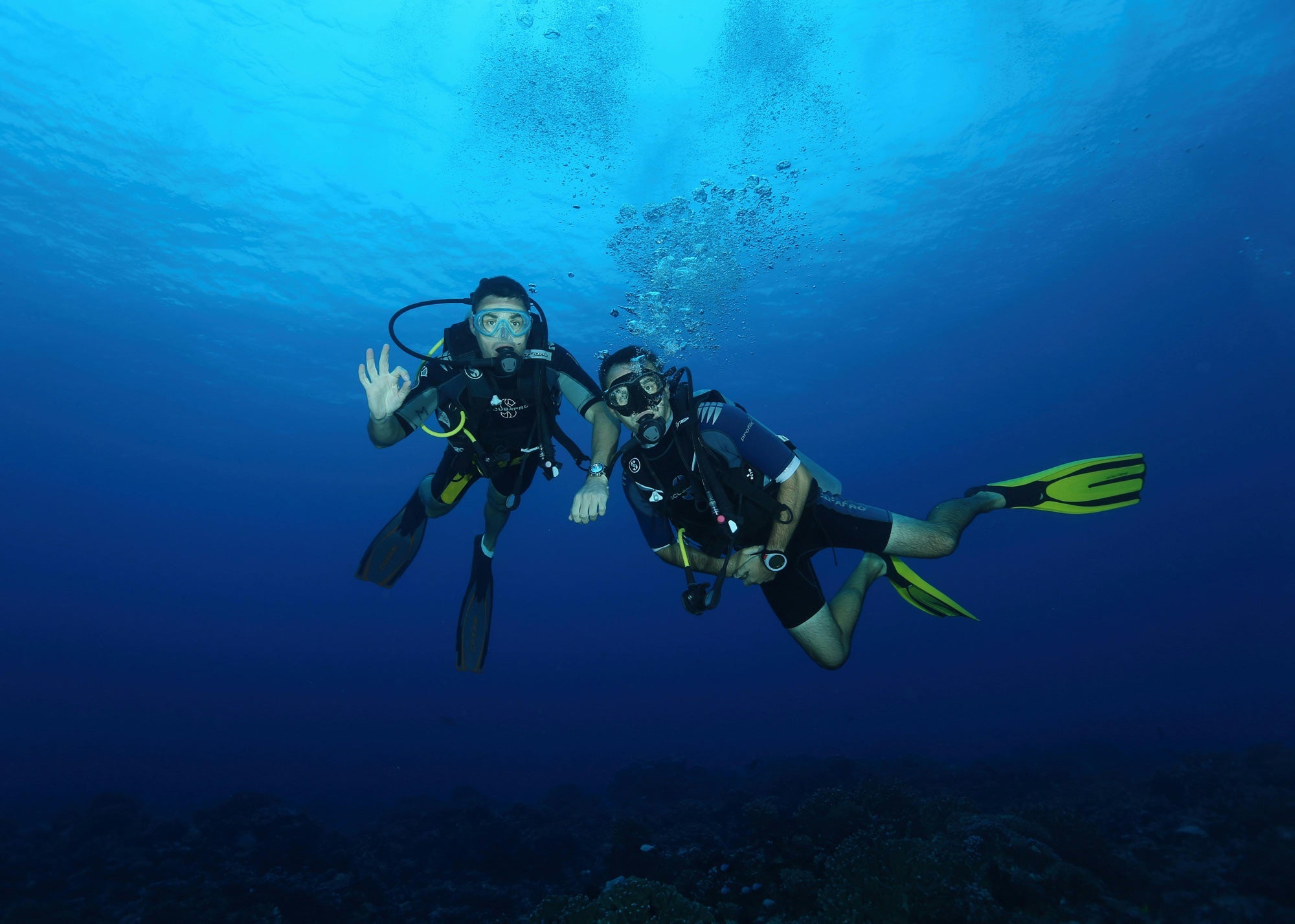 Scuba Diving in Thailand 2026: Best Islands, Costs & Tips